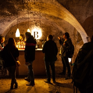 Chute Malých Karpát 2019