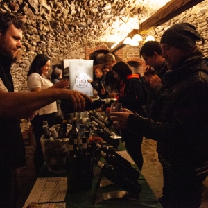 Chute Malých Karpát 2019