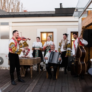 Pekné víno s rozhľadom 2019