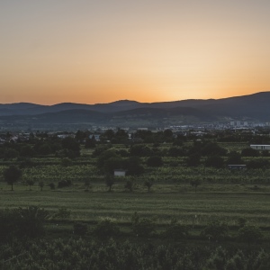 Pekné víno s rozhľadom 2022