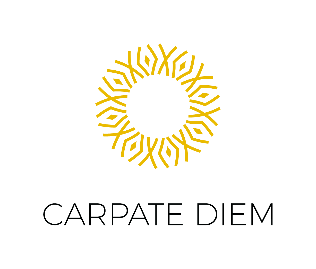 logo CARPATE DIEM, s.r.o.